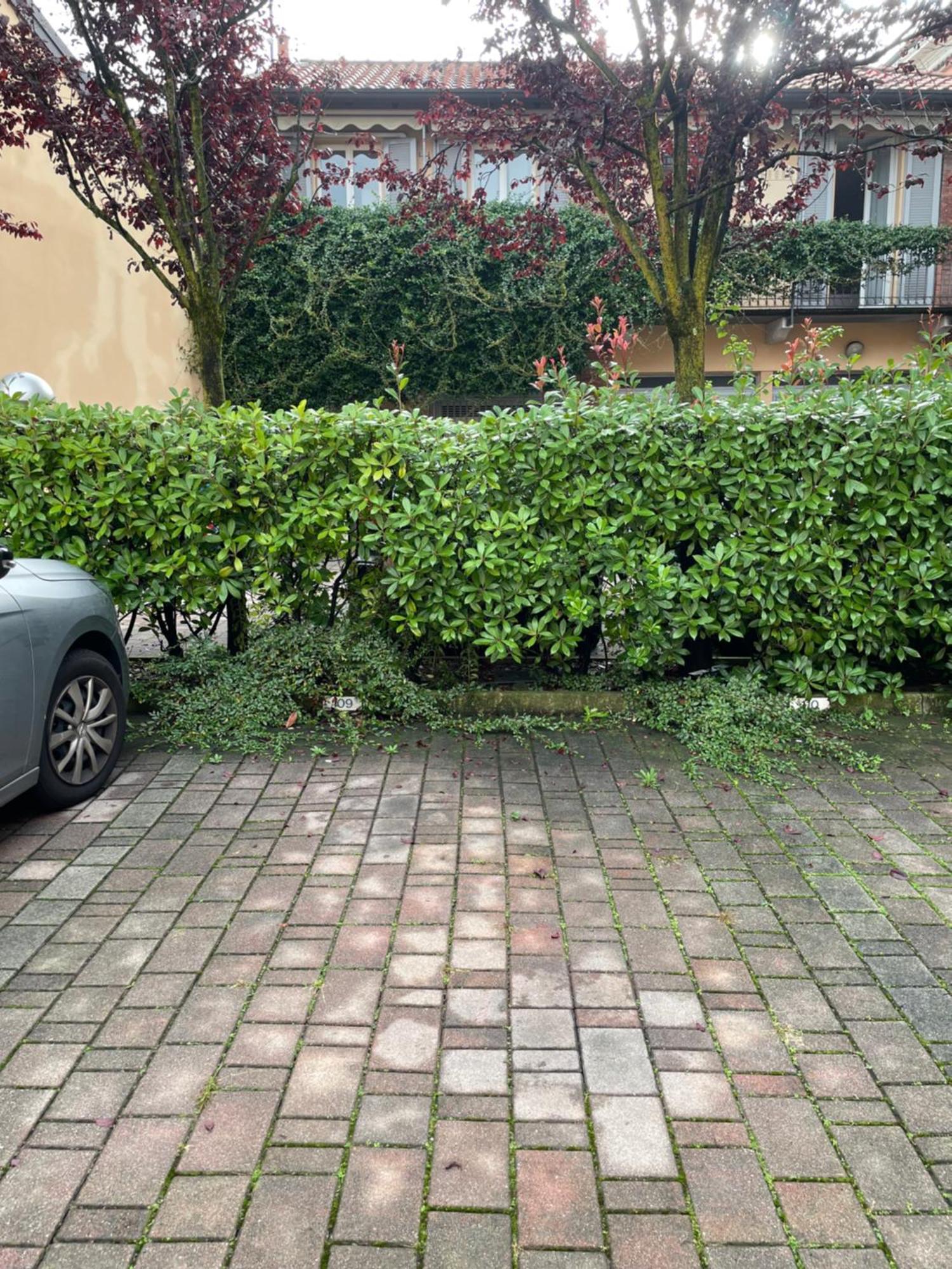 Gelsomino Appartamento Con Posto Auto Nel Centro Di مونزا المظهر الخارجي الصورة
